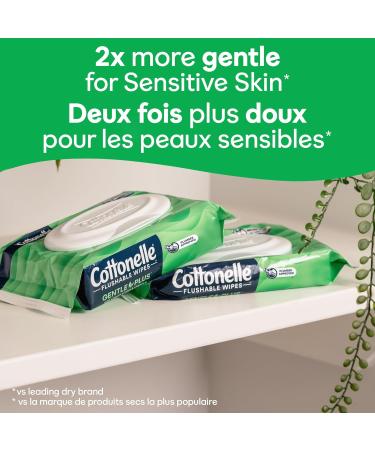 Cottonelle GentlePlus Flushable Wet Wipes with Aloe & Vitamin E Adult Wet Wipes 6 Flip-Top Packs 42 Wipes per Pack (6 Packs of 42) (252 Total Flushable Wipes) Flip-Top 6X - Buy Online on GoSupps.com
