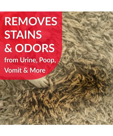 Simple Green Advanced Dog Stain & Odor Remover - Large Dogs Bacteria & Enzyme Cleaner - 32 oz Sprayer - Buy Online on GoSupps.com