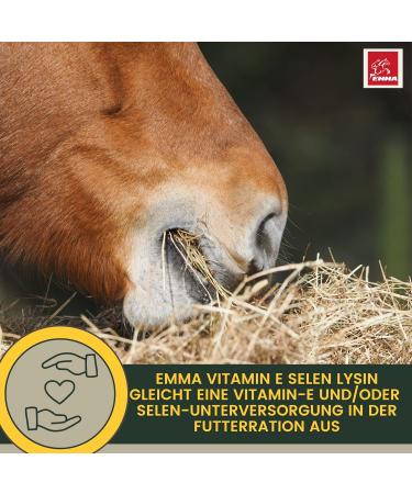 Selenium Vitamin E Lysine Liqud + Pate for Horses Maintain Healthy Musculature Vitamin E-Selenium Lysine Amino Energy for Physical Condition Muscle Performance Horse 30 ml 1 L - Buy Online on GoSupps.com