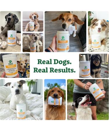 Doggie Dailies Omega 3 for Dogs - 225 Soft Chews - Salmon Oil for Dogs with Apple Cider Vinegar Bee Pollen Kelp Zinc & Biotin New Packaging - Buy Online on GoSupps.com