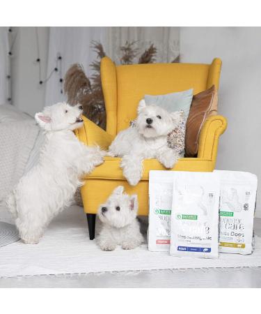 Nature's Protection Superior Care Hypoallergenic Dry Dog Food for Adult Dogs of All Breeds I Grain Free I Salmon I Food for Adult Dogs with Food Sensitivities 10 kg - Buy Online on GoSupps.com