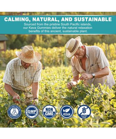 Kava Gummies, Sugar Free Calm Gummies w/Rhodiola Rosea, Ashwagandha, L-Theanine, GABA, Melatonin-Free Kava Blend for Relaxation, Calm and Focus - Alternative to Powder Drops, Vegan 60 Ct - Buy Online on GoSupps.com