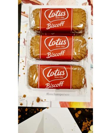 Lotus Biscoff Smores Kit for 4 | Valentines | Marshmallow Toasting | Camping/Halloween/Kids Gifts | Movie Night - Buy Online on GoSupps.com