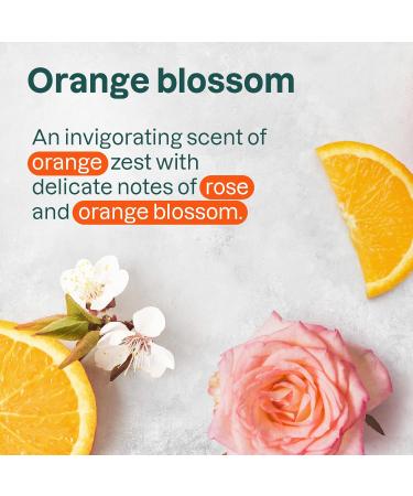 Bundle of ATTITUDE Mineral Sunscreen Stick with Zinc Oxide SPF 30 EWG Verified Plastic-Free Broad Spectrum UVA/UVB Protection Vegan Orange Blossom + After Sun Care Stick Mint and Cucumber - Buy Online on GoSupps.com