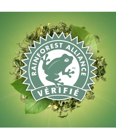 Lipton Th Vert Menthe 100 Sachets (Lot de 2x50 Sachets) Menthe 2x50 Sachets - Buy Online on GoSupps.com