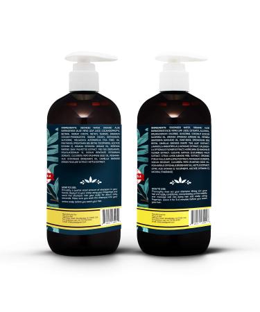 Moroccan Argan Oil Biotin Shampoo & Conditioner Set - Natural Hair Repair & Moisturization | DHT Blocker & Anti Hair Loss Treatment (2 x 16.9 Fl Oz - Buy Online on GoSupps.com