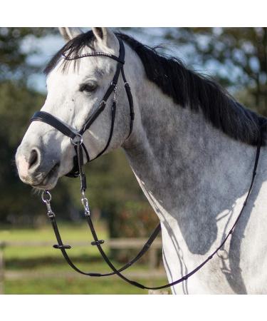 Buy QHP Bitless Bridle Sunna - Size COB for Thoroughbred in Black | International Shipping Available - Buy Online on GoSupps.com