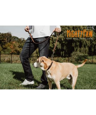 Mighty Paw Leather Martingale Dog Collar | Premium No Pull Training Collar for Dogs - Stainless Steel Chain Cinch - Large, Medium, Small - Brown - Buy Online on GoSupps.com