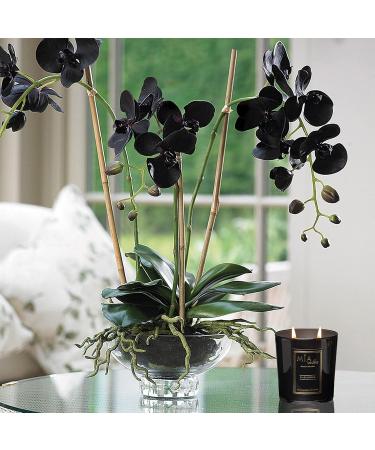 Black Orchid Highly Scented Candles - 9 oz Non-Toxic Soy Wax | 45 Hours Burn Time | Aromatherapy & Home Decor - Buy Online on GoSupps.com
