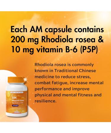 Rhoziva AM PM Rhodiola Rosea L theanine 200mg Ashwagandha Supplement 200mg 30:1 Extract Daytime Energy Supplement Stress Relief Mood Support. Night Time Sleep Support & Calming Supplement For Men & Women. Vitamin B12 Vitamin B6. 60 Capsules. - Buy Online on GoSupps.com