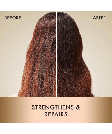 MOEHAIR Travel Kit - Protein Shampoo & Conditioner Set Sulfate & Paraben Free Leave-In Conditioner & Heat Protectant | Ideal for All Hair Types - Buy Online on GoSupps.com