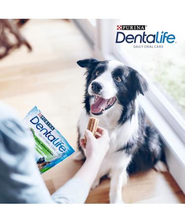 DENTALIFE Medium Dog Treat Dental Chew 42 Stick Pack of 2 Chicken 1.93 kg (Pack of 1) - Buy Online on GoSupps.com