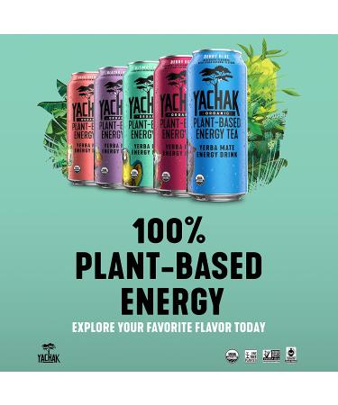 Yachak Yerba Mate Drink Berry Red 16 Fl Oz Cans - Pack of 12 | Energizing Natural Flavor - Packaging May Vary - Buy Online on GoSupps.com