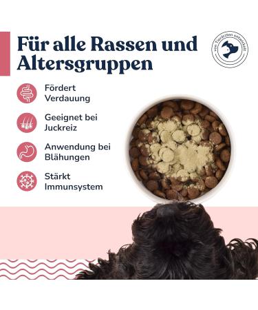 Felmo Probiotic Powder for Dogs (250g) - Supports Digestive Health & Immune System - Grain & Sugar-Free - Buy Online on GoSupps.com