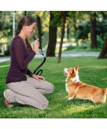 Fannas Dog Whistle - 2 Pack Adjustable High Frequency Dog Training Whistles with Free Pipe Band - Loud & Effective Recall Trainer - Black/Red - Buy Online on GoSupps.com