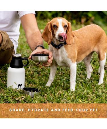 Miracle Pets Dog Drinking Bottle - BPA-Free 1L Stainless Steel Water Bottle & Food Bowl for On-the-Go Puppies - Durable Travel Accessories - Buy Online on GoSupps.com