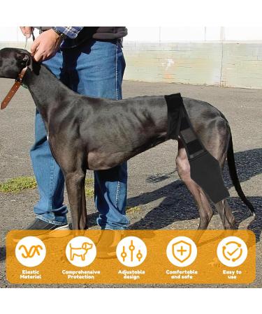 Dog Knee Brace Dog ACL Knee Brace Hind Leg Dog Leg Braces for Back Leg Cruciate Care Knee Brace for Supporting Dogs with Torn ACL Muscle Hind Leg Joint Discomfort (M) - Buy Online on GoSupps.com