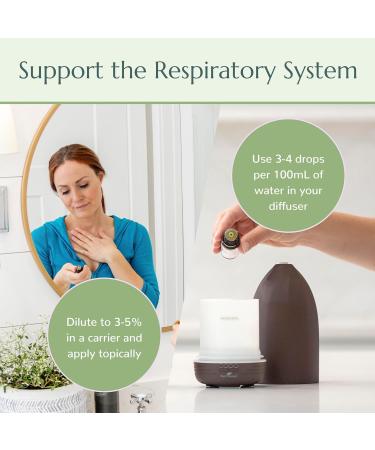 Plant Therapy Respir Aid Essential Oil Blend 100 mL - 100% Pure Sinus & Airway Support | Natural Aromatherapy Congestion Relief - Buy Online on GoSupps.com