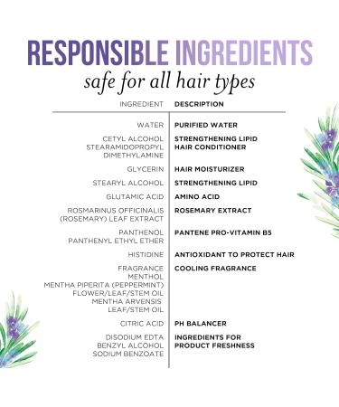 Pantene Sulfate Free Conditioner Detangling Conditioner Removes Hair Build Up and Adds Shine with Rosemary Safe for Color Treated Hair Nutrient Blends 237 mL Rosemary Conditioner - Buy Online on GoSupps.com