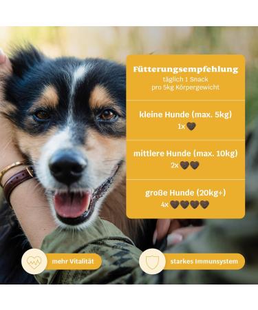 Mammaly Immu Push Snack | Nutritional Supplements & Vitamins for Dogs | Boost Immune System | 30 Snack Packs - Buy Online on GoSupps.com