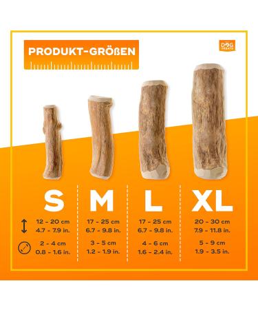 Natural Dog Treats - Coffee Wood Chewing Bones for Dogs & Puppies | Caustab & Kachtiele Toys (2 Pack) - Buy Online on GoSupps.com