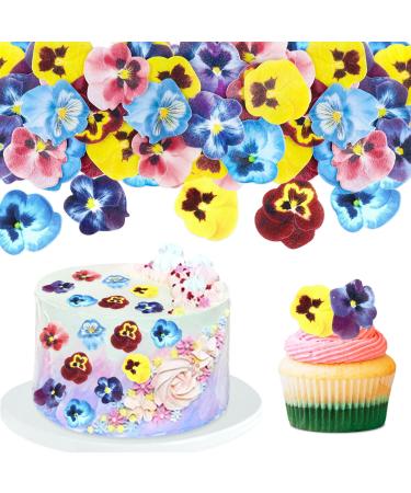 Blumomon 60Pcs Edible Pansy Flowers Cupcake Toppers Tricolor Viola Cake Topper Edible Flowers Cupcake Decoration Picks Wedding Baby Shower Party Wedding Anniversary Birthday Party Cupcake Decoration Flower-style1 - Buy Online on GoSupps.com
