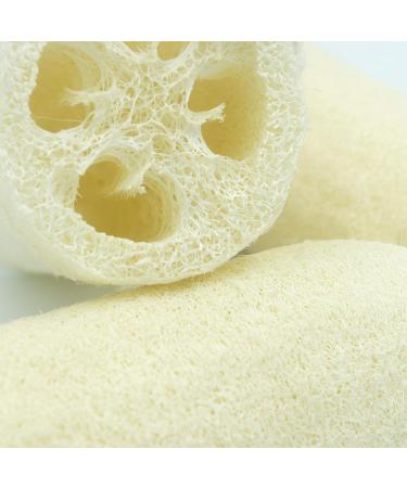 Bleu Bath 3-Pack Pure 5 Loofah Bath Body Scrubber Sponge - 100% Natural and Organic Exfoliating Luffa for Men, Women, and Sensitive Skin - Buy Online on GoSupps.com