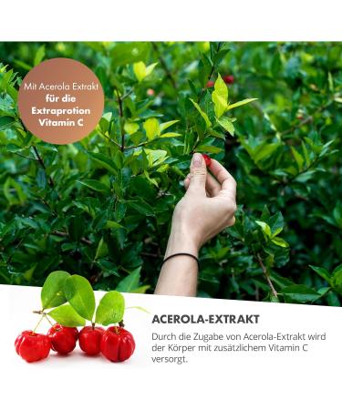 Nutritec Cordyceps Vital Mushroom 120 Capsules - High Dose Food Supplement with Acerola Extract | Boost Energy & Immunity - Buy Online on GoSupps.com