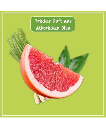 Buy Poliboy Organic Parquet & Wooden Floor Care - Vegan 5L - Protect Your Valuable Floors - Made in Germany - Buy Online on GoSupps.com