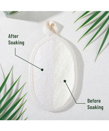 Exfoliating Loofah Sponge Pads - 3 Pcs Natural Body & Facial Scrubber for Men & Women | Deep Cleaning Soft Luffa for Dry Skin | International Shipping Available - Buy Online on GoSupps.com