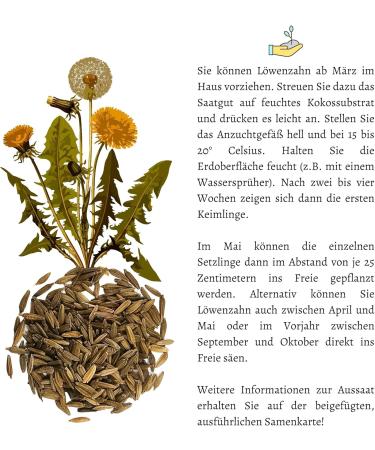 Dandelion Seeds for Rabbits - Optimal Wild Herb Feed Supplement (5 000 Seeds) | Guinea Pigs & Turtles Approved - Buy Online on GoSupps.com