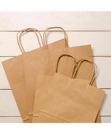 Raylu Paper - 25 Marineblau 100% Recyclable Power Paper Bags with Handles | Ideal for Purchases & Gifts - Buy Online on GoSupps.com
