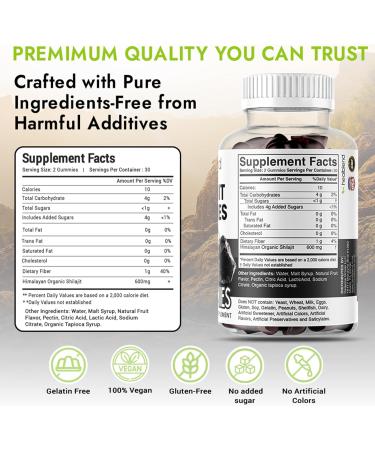 healblend Organic Himalayan Shilajit Gummies 600mg - Optimal Health Energy & Immunity Support for Men & Women Natural Fruit Flavor - 60 Gummy (3) - Buy Online on GoSupps.com