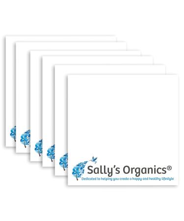 Sally s Organics 16oz Clear Glass Spray Bottles - 6 Pack | Refillable for Laundry Linen Vinegar Plant Misting & Hair Styling | Chemical-Resistant Adjustable Mist & Stream Sprayer - Ships Internationally - Buy Online on GoSupps.com