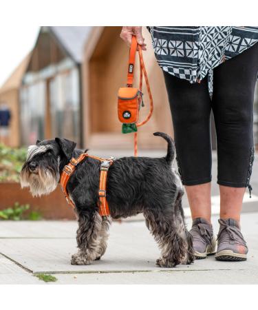 DOG Copenhagen Comfort Walk Air 3.0 Hundegeschirr - Ocean Blue | Premium Dog Harness for Ultimate Comfort | Shop Internationally - Buy Online on GoSupps.com