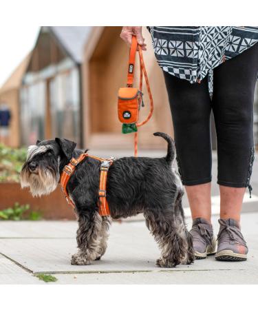 DOG Copenhagen Comfort Walk Air 3.0 Hundegeschirr - Wild Rose Size M | Premium Dog Harness for Comfort & Control | International Shipping Available - Buy Online on GoSupps.com