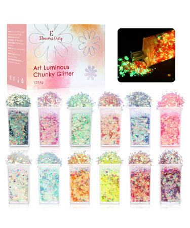 Chunky Glitter for Makeup, Glow in The Dark Glitter, Eleanore's Diary 12 Colors Art Luminous Chunky Glitter Sequins for Resin, Nail Body Face, Party Decor or Card Making Face & Body Craft Glitter Set