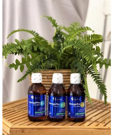 CanPrev - Omega-Pro High EPA 50ml Liquid - Helps Support Cognitive Health and Brain Function - Source of Eicosapentaenoic Acid and Docosahexaenoic Acid for the Maintenance of Good Health - Buy Online on GoSupps.com