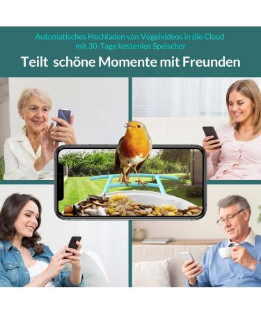 Netvue Bird Feed Donor & Camera - AI-Powered Bird Feeder with Species Detection | Bird House & Feed Stations for Wild Birds - Buy Online on GoSupps.com