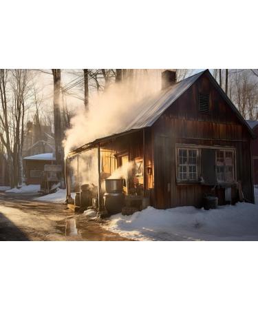 Maple syrup in 1 liter jug - Amber - Direct producer - 100% pure from Canada - Les Tr sors d'maple - Authentic and 100% natur - Buy Online on GoSupps.com