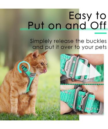 Thinkpet No-Pull Dog Harness & Leash Set | Breathable Adjustable Soft Harness for Small to Large Dogs - 2XS Green - Buy Online on GoSupps.com