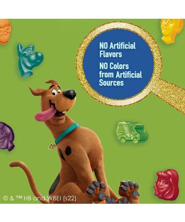 Scooby Doo Fruit Flavored Gummy Treat Pouches - Value Pack (22 ct) - Buy Online on GoSupps.com