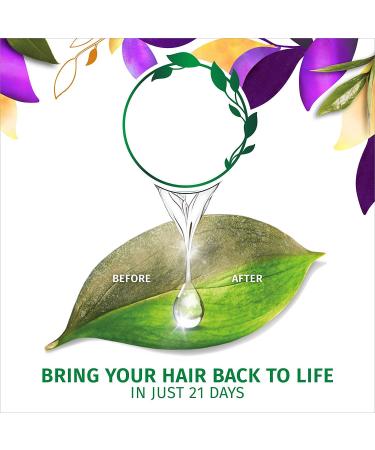 Herbal Essences Bio Renew Haircare Naked Volume Set - White Grapefruit & Mosa Mint Shampoo & Conditioner - 13.5 FL OZ Bottles - International Shipping Available - Buy Online on GoSupps.com