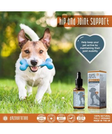 AMZ Evergreen Hemp Oil for Dogs UK | Vet Approved Calming & Anxiety Relief | Health Supplement for Pets | Hip & Joint Support | Omega 3 6 9 - 30ml - Buy Online on GoSupps.com