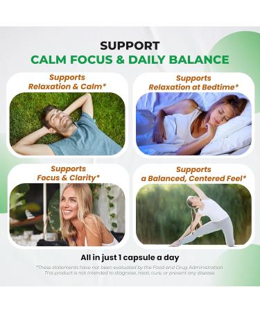 L-Theanine Supplement - 6 in 1 Complex Enriched with Magnesium, Ashwagandha, Saffron, Chamomile - Support Relaxation, Calmness & Sleep Quality | 150 Capsules 150-day supply (pack of 1) - Buy Online on GoSupps.com