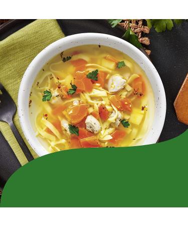 Knorr Zero Salt Chicken Flavor Bouillon Powder - 2.6oz - Buy Online on GoSupps.com