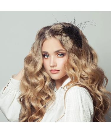 OIIKI 2Pcs Black Ostrich Hair Clip Feather Hairgrip - Retro Hair Jewelry for Women | Perfect for Bride, Party, Festival or Special Occasion - Buy Online on GoSupps.com