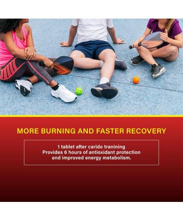 Multivitamin with Creatine and BCAA for Cardio Workout and Aerobic Sports |Heart & Muscle Protect | Reduce Fatigue|Enhance Performance|Optimize Energy|Fast Recovery. - Buy Online on GoSupps.com