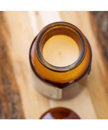 Paddywax Apothecary Teak & Tobacco Scented Candle - 8oz Hand-Poured Artisan Candle - Buy Online on GoSupps.com