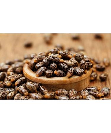 100% Pure Castor Oil - Cold Pressed Vegan Non-GMO - 128 oz Bulk for Hair Nails Eyelashes & More - Premium Grade A Organic Wholesale - Buy Online on GoSupps.com